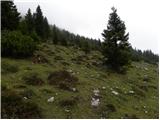  Zavetišče na planini Šija - Veliko Kladivo